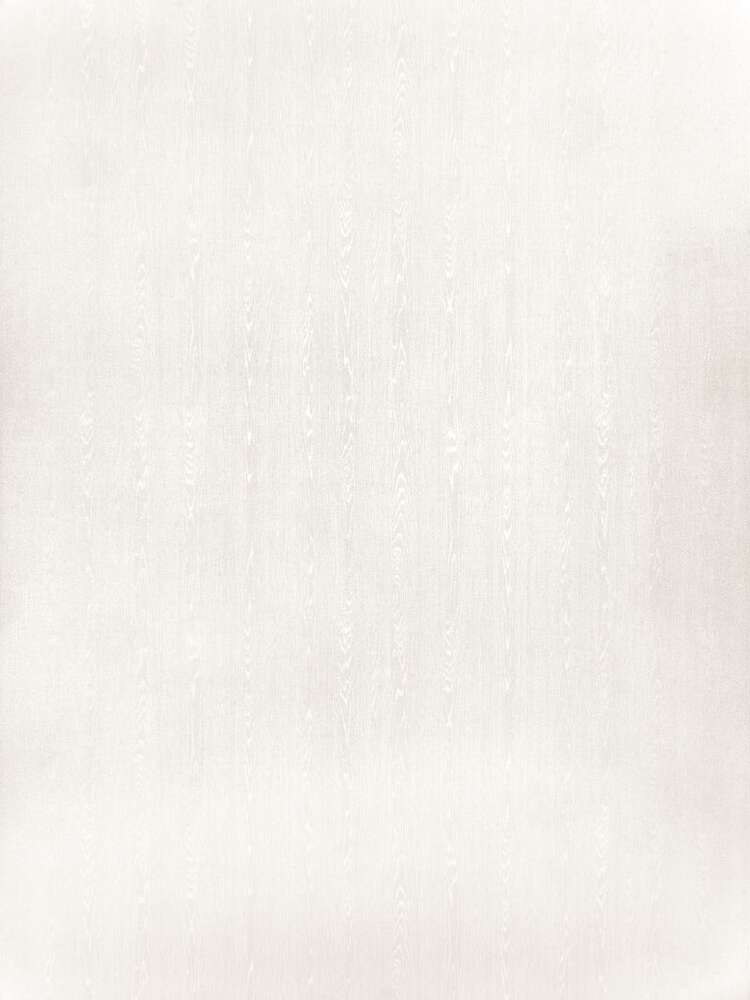Image du produit AGGLO M&eacute;lamin&eacute; - Everest White (WE28 V1A / structure bois) - 18 mm - 280 x 207 cm