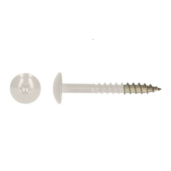 Image du produit Vis t&ecirc;te bomb&eacute;e HPL - Inox A4 - Blanc (RAL 9010) - T20 - &Oslash; 4,8 x 38 mm - (20 pcs)