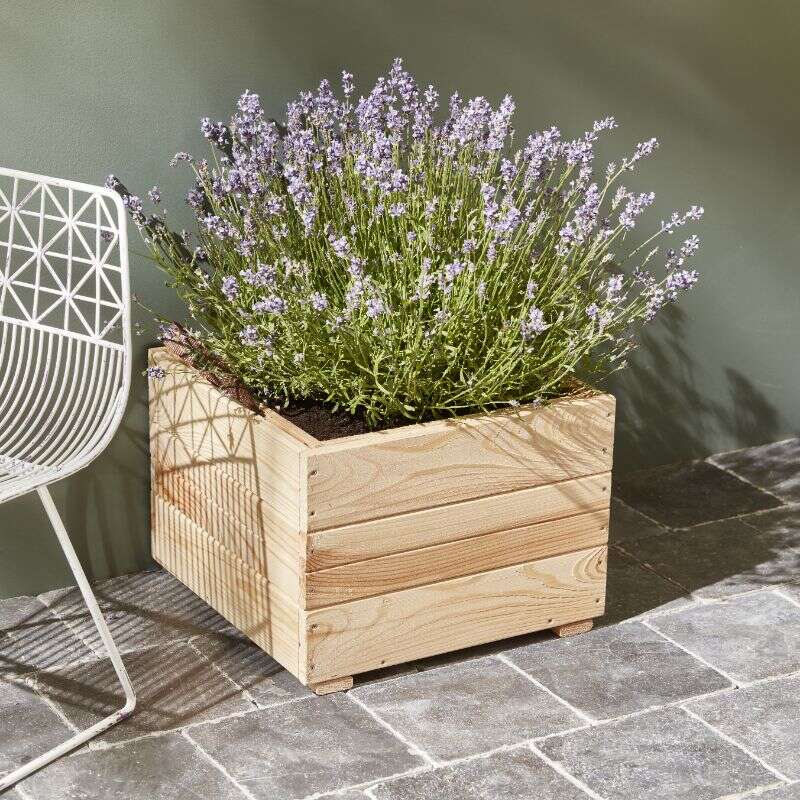 Image du produit Bacs &agrave; fleurs carr&eacute;s, mod&egrave;le "M&eacute;l&egrave;ze", id&eacute;al pour balcons et terrasses