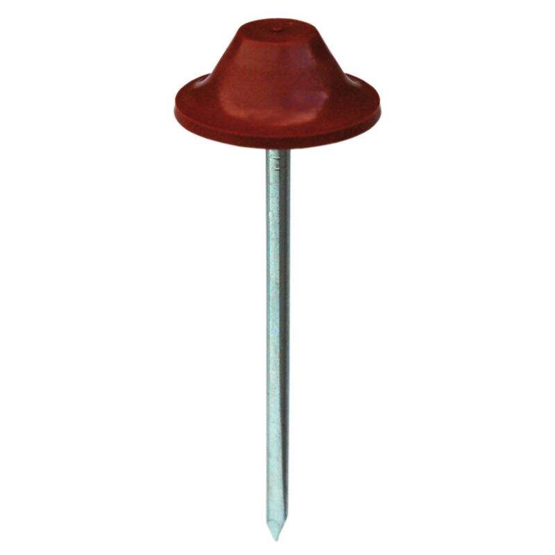 Image du produit Scala - Clous pour Plaque Ondul&eacute;e - Terra - 7 cm (50 pi&egrave;ces)