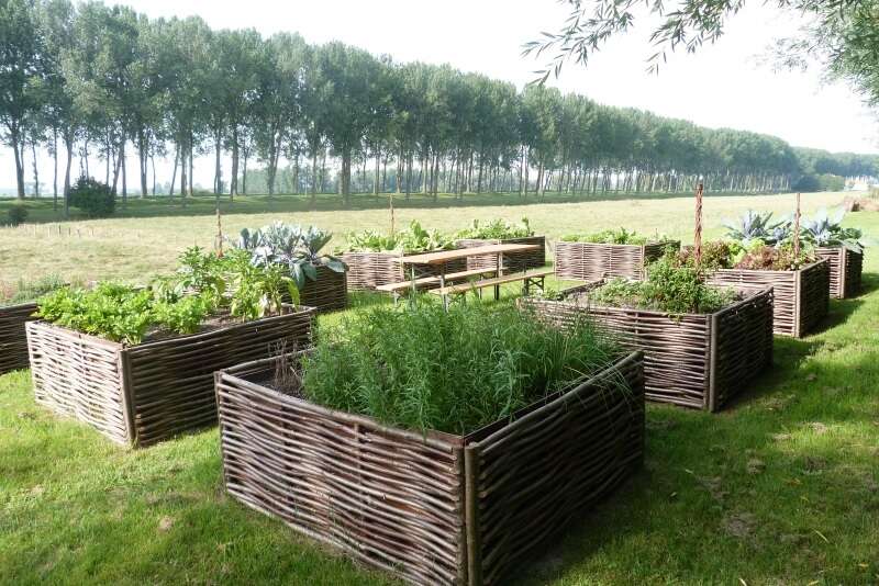 Image du produit Potager carr&eacute; en noisetier tress&eacute;