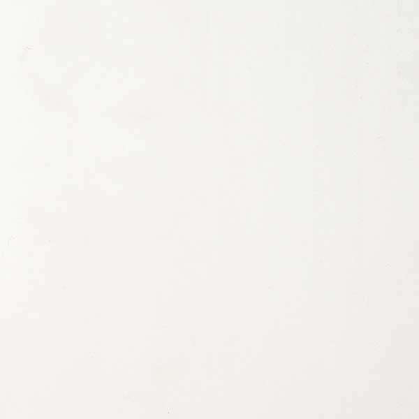 Image du produit Dumaclip - Lambris PVC - Blanc Brillant - 10 x 250 x 1200 mm (2,4 m&sup2;)
