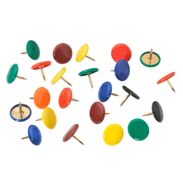 Image du produit Punaise Laitonn&eacute;e - Color&eacute;e (100 pi&egrave;ces)