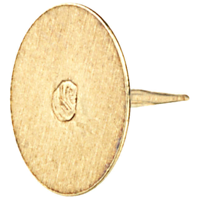 Image du produit Punaise Laitonn&eacute;e (100 pi&egrave;ces)