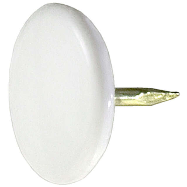 Image du produit Punaise Laitonn&eacute;e - Blanche (100 pi&egrave;ces)