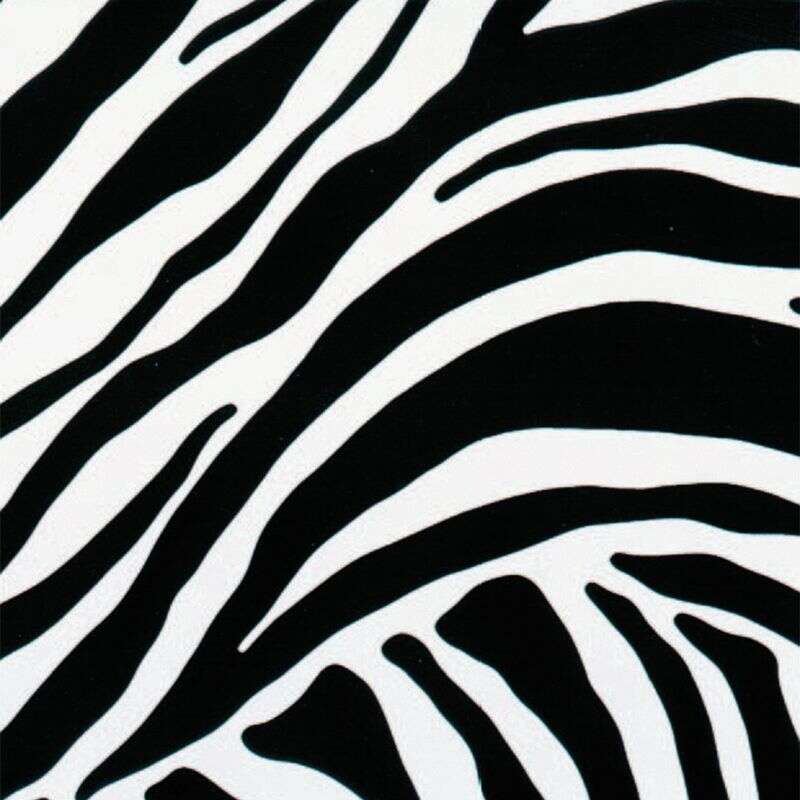 Image du produit JOYFIX ZEBRE 45CM X 2M(s)