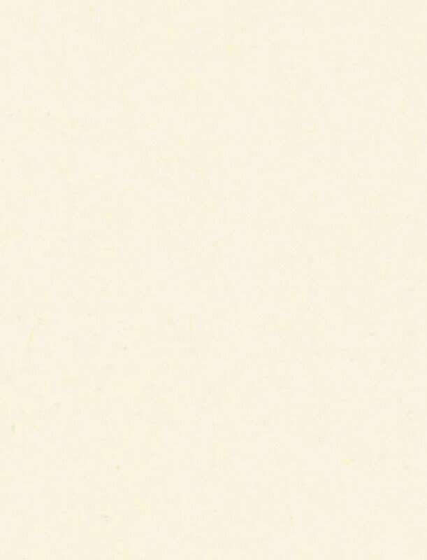 Image du produit MDF Valchromat - Blanc Perle (WP) - 244 x 122 cm - Epaisseur au choix