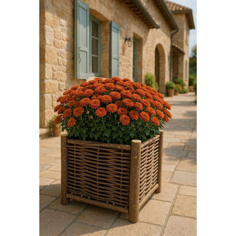 Image du produit Bac &agrave; Fleurs 'Flowerbasket' - Divers formats
