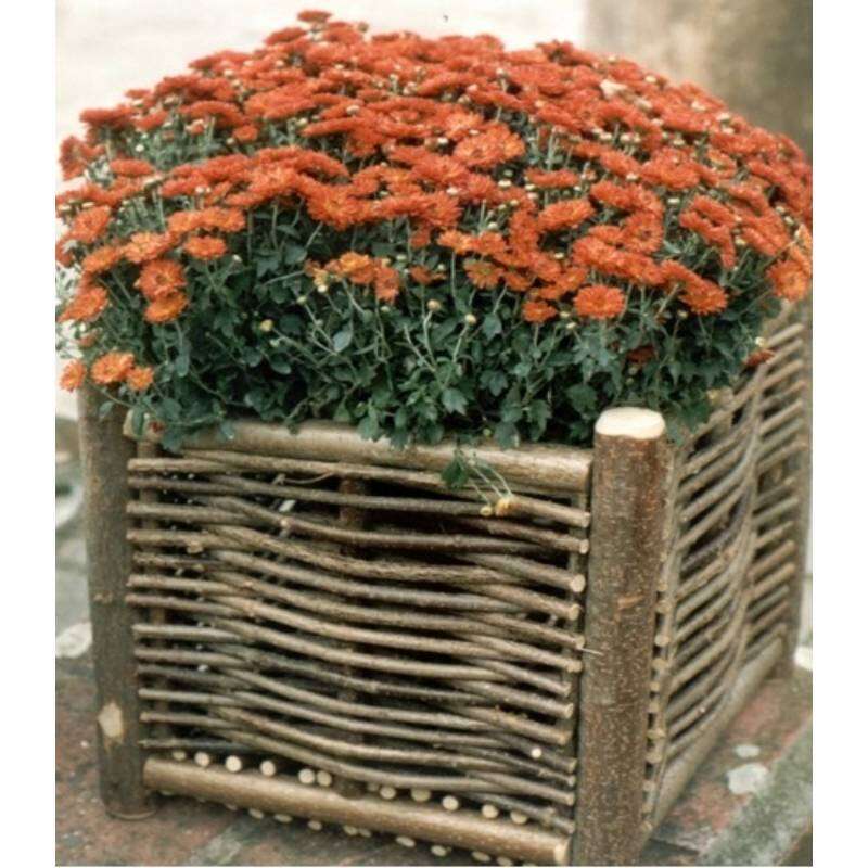 Image du produit Bac &agrave; Fleurs 'Flowerbasket' - Divers formats