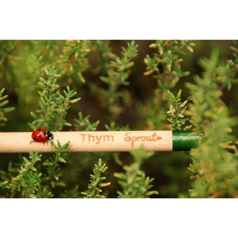Image du produit SPROUT - Crayon bois &agrave; planter