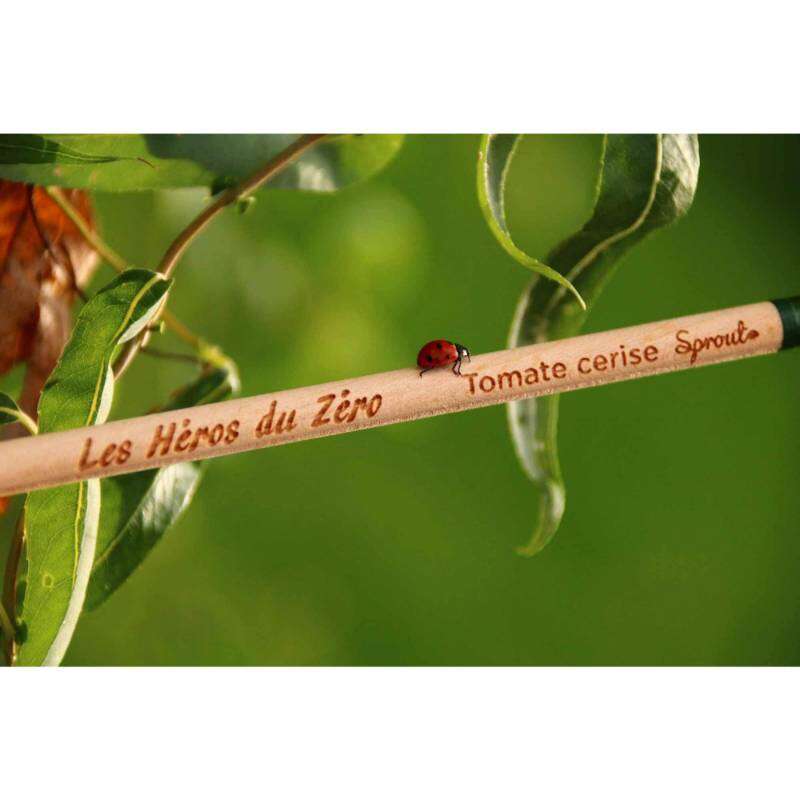 Image du produit SPROUT - Crayon bois &agrave; planter