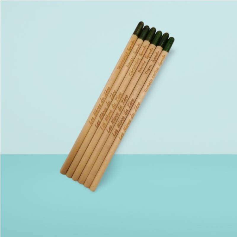 Image du produit SPROUT - Crayon bois &agrave; planter