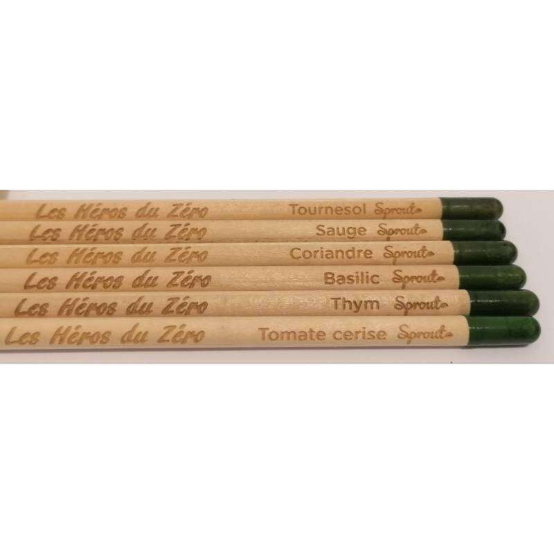 Image du produit SPROUT - Crayon bois &agrave; planter