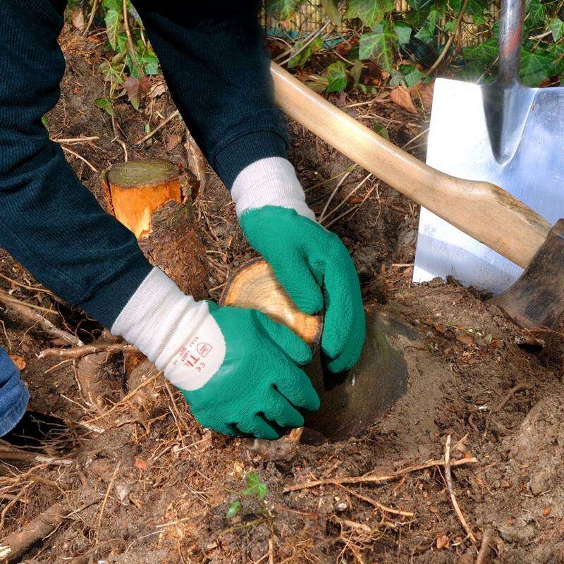 Image du produit Gants de Jardinage - Vert - Taille 8