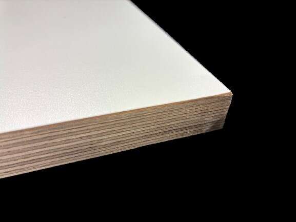 Image du produit Multiplex Bouleau + Stratifi&eacute; Blanc (F6464 / F6464) - 18 mm - 305 x 130 cm