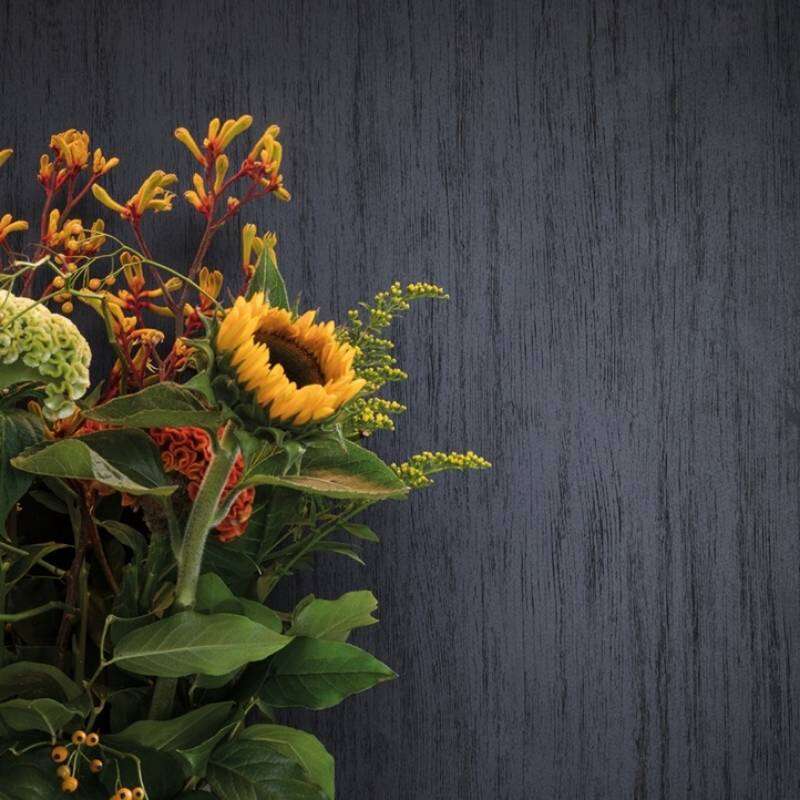 Image du produit AGGLO M&eacute;lamin&eacute; - Elegant Black (113 W06 / structure bois) - 18 mm - 280 x 207 cm