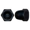Image du produit Ecrou borgne hexagonal DIN 1587 - Acier Noir (BlackTop) - M6 ou M8 mm