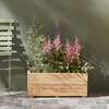 Image du produit Bac rectangle en MELEZE - 700 x 312 x 285 mm