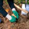Image du produit Gants de Jardinage - Vert - Taille 8