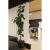 Image du produit PANIDUR - Lame Orientable Amovible Blanc M&eacute;tal - 28 x 180 x 2400 mm