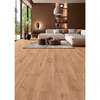 Image du produit ALSAFLOOR - Sol Stratifi&eacute; - Allure - Ch&ecirc;ne Tanger (909) -  5G - Classe 33 - AC6 - 10 x 214 x 1286 mm (1.93 m&sup2;)