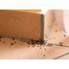Image du produit BSI - Clean Kill Micro-Fast - Anti-Fourmis - (500 ml)