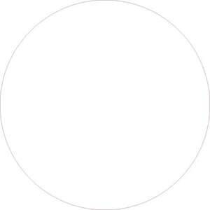 Image produit Verre Rond Clair - Ep. 4 mm - &Oslash; 298 mm