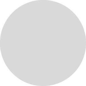 Image produit Verre Rond Mat - Ep. 4 mm - &Oslash; 298 mm
