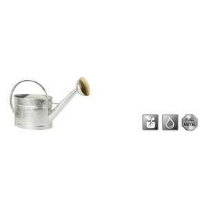 Image produit POLET ARROSOIR 10L GALVA - 0.45mm