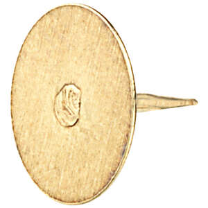 Image produit Punaise Laitonn&eacute;e (100 pi&egrave;ces)