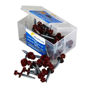 Image produit Aquaplan - Vis autoforante avec Joint EPDM - Rouge (40 pi&egrave;ces)