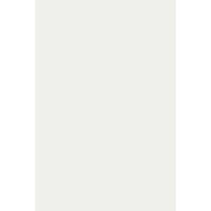 Image produit Krono-exterio - Stratifi&eacute; massif - Blanc 9010 (101)  - 3050 x 1300 x 6 mm (sans feuille UV)