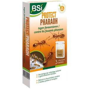 Image produit BSI - Protect Pharaoh - Eliminateur de colonies de Fourmis Pharaon